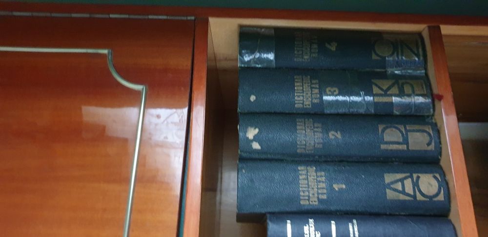 Dictionar enciclopedic roman