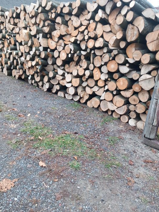 Vând lemne de foc fag și carpen  avem si uscate