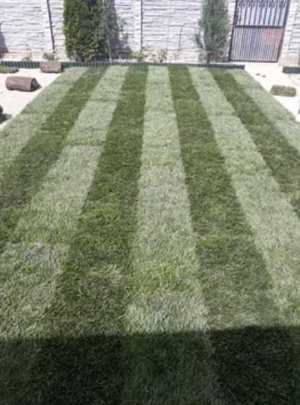 Gazon Natural Aclimatizat – Livrare în Toată Țara și Montaj