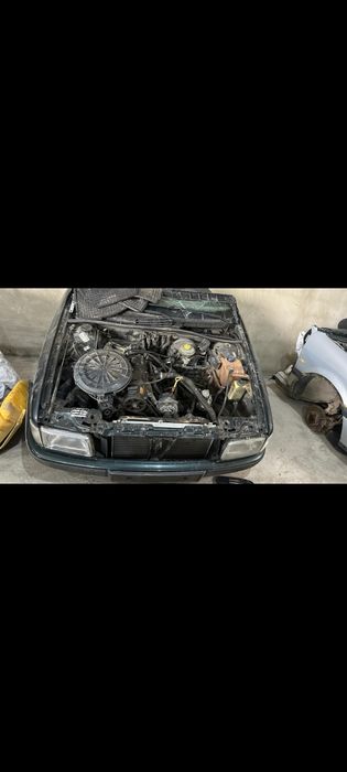 Привазной молдалар