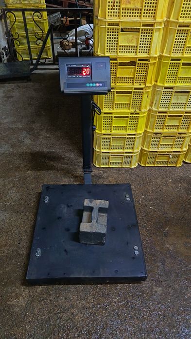 Go'sht maxsulotlarini tortadi tarozi