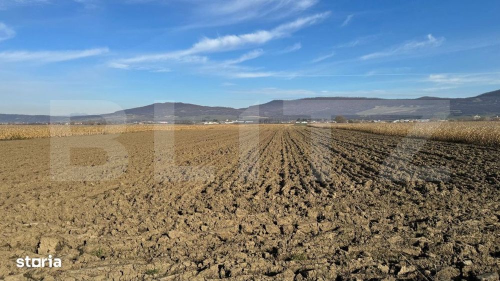 Vand 53 de ari de teren intravilan in Arcalia