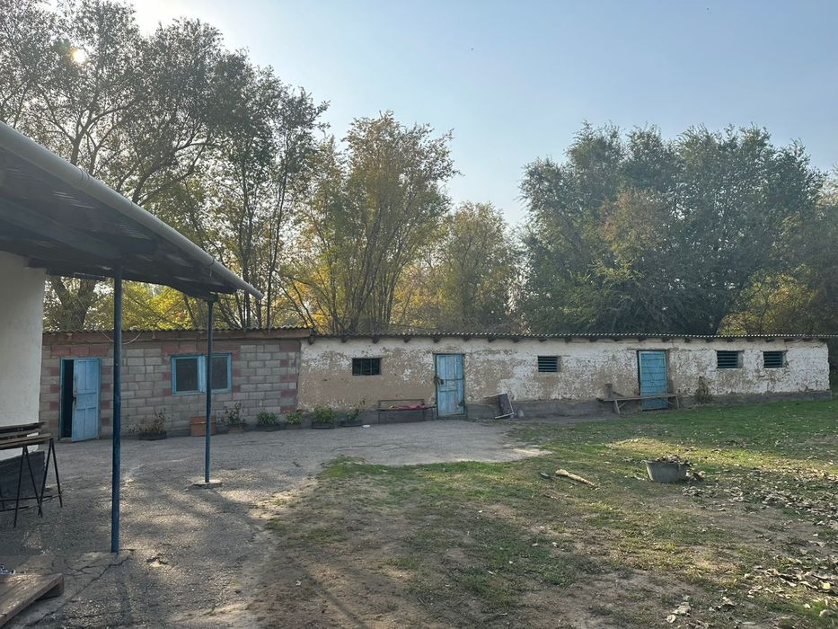 Дом в селе для скотоводства