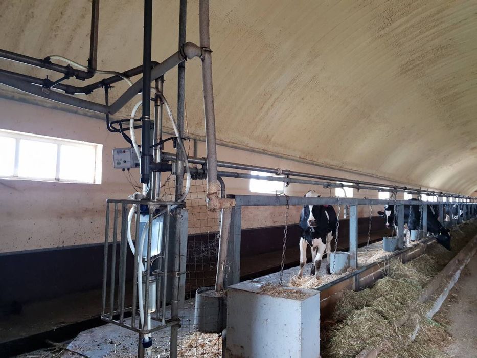 Izolatie spuma poliuretanica