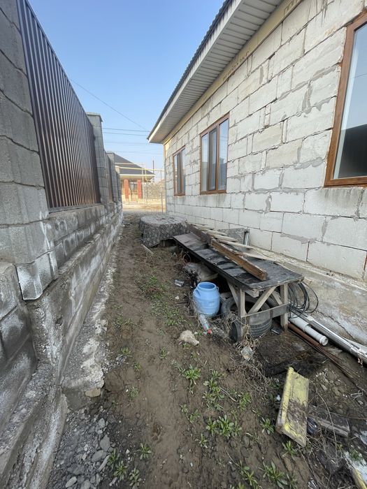 отходный дерева әр түрлі ағаштар