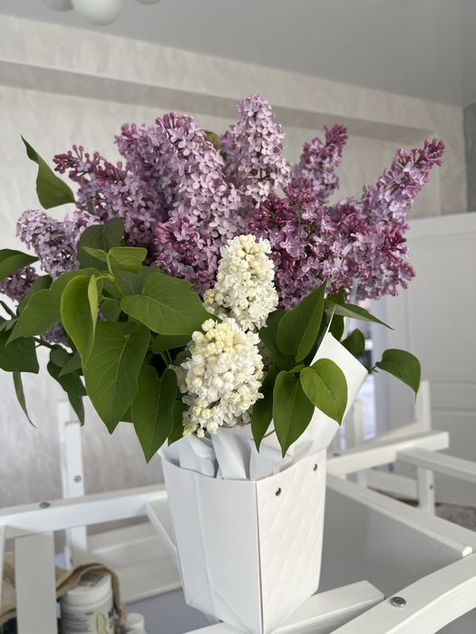 Сирени в корзине с оазисом 5000 тенге