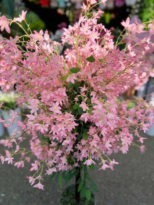 Декоративная дерево на горшке