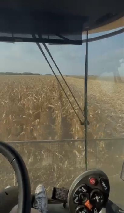 Vand Porumb Recolta 2025