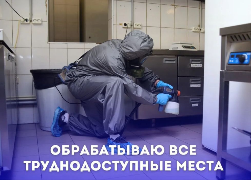 Обработка от клопов, тараканов