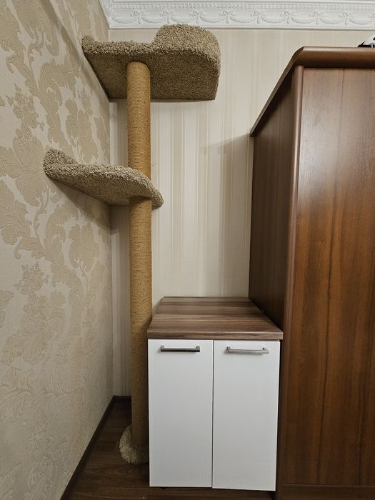 Угловой комплекс когтеточка