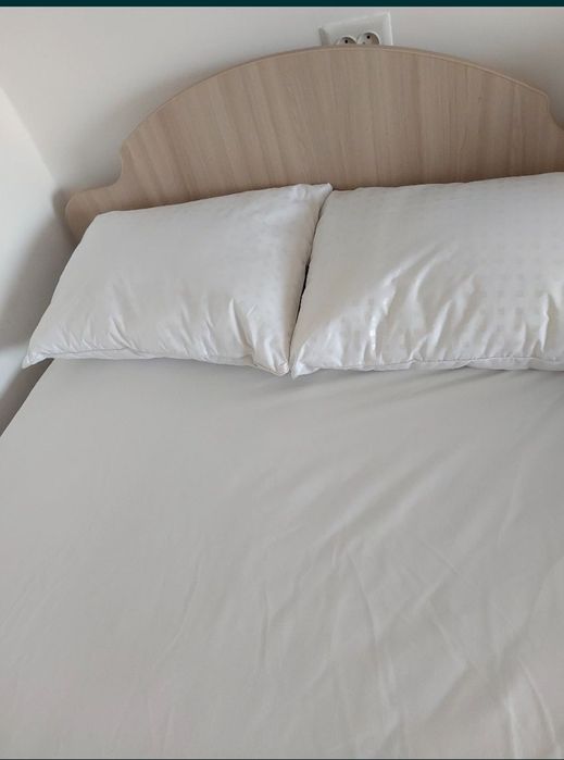 Сдам полуторку на 45.