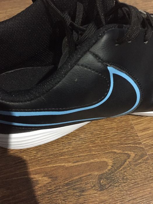 Сороконожки