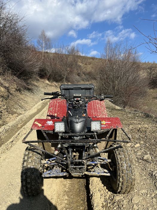 Vand ATV BASHAN 250 cc