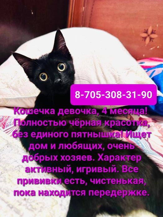 Отдам в хорошие руки девочку