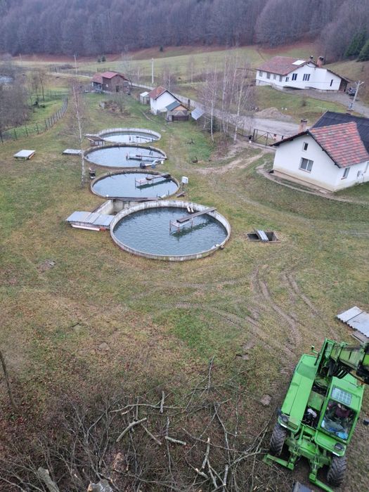 LANGA BRAȘOV, casa de vacanță, PĂSTRĂVĂRIE,iaz cu pești, CASUTA cu ter