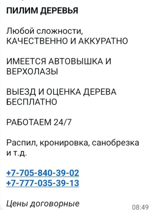 Пилим аварийные деревья