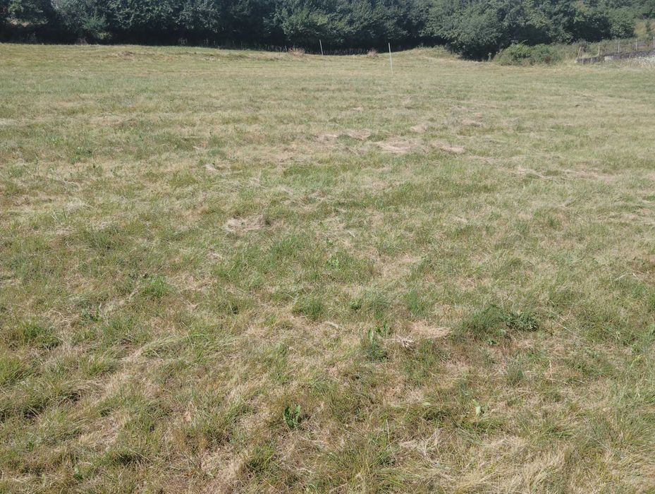 Продава се Парцел в с. Свидня, Област София-област - 800 кв.м за 38 €/кв.м - Снимка #1