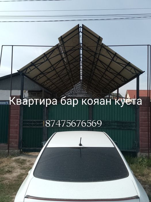 Кояан кус квартира бар