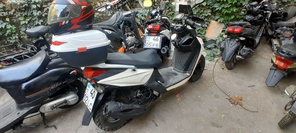 Аренда мопедов, прокат.