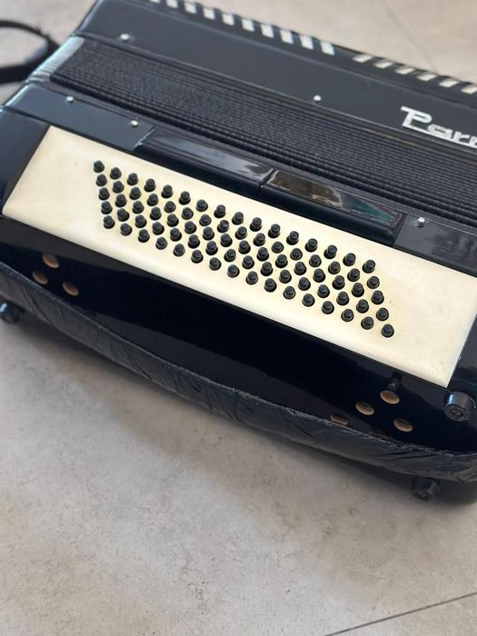 Acordeon Parrot - -A-