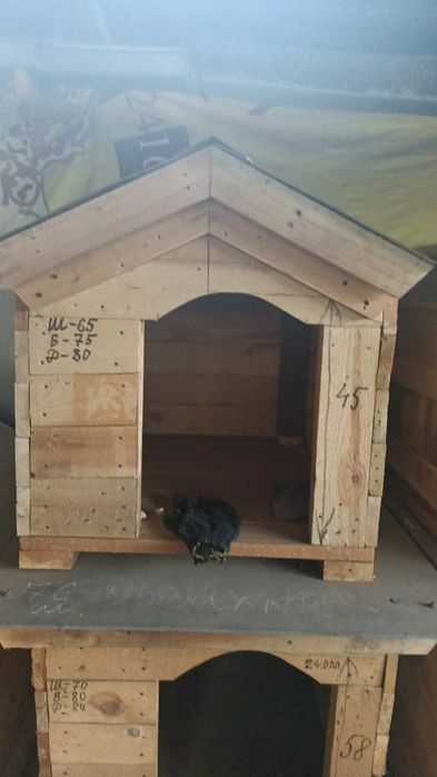 Будка Для Собак из Досок Будки Собак