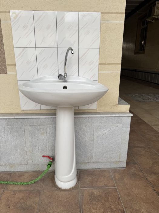 Раковина тюльпан