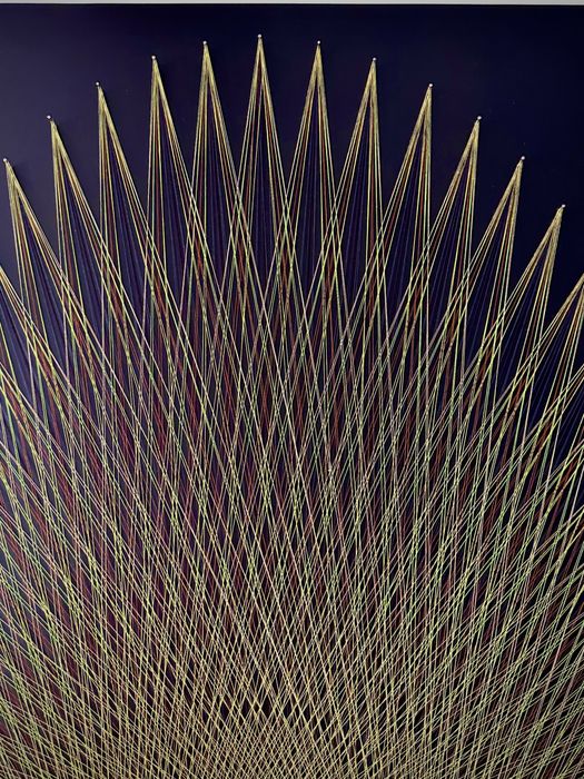 Tablou “String Art” - “Coadă de Păun”