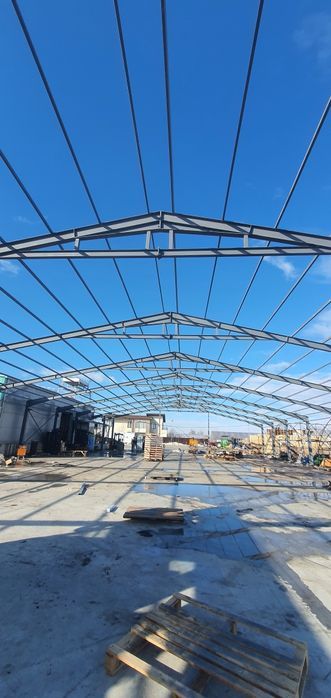 Vand hala metalică 20x55x4