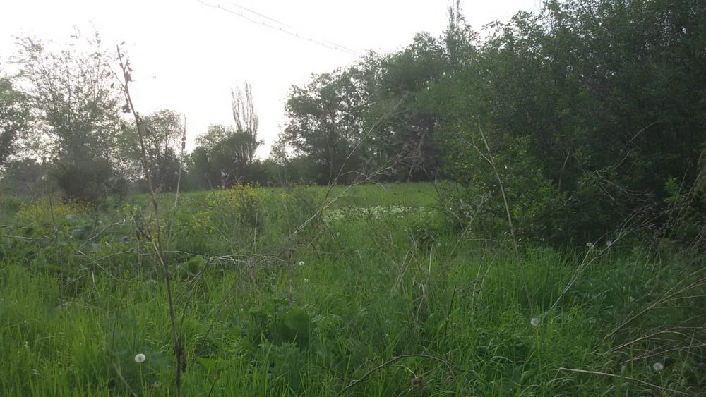 Продам зем участок