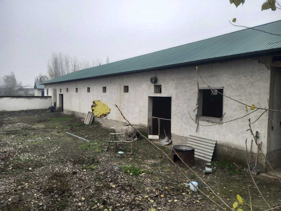 Oziq ovqat don maxsulotlarini qayta ishlash bino va inshoatlari