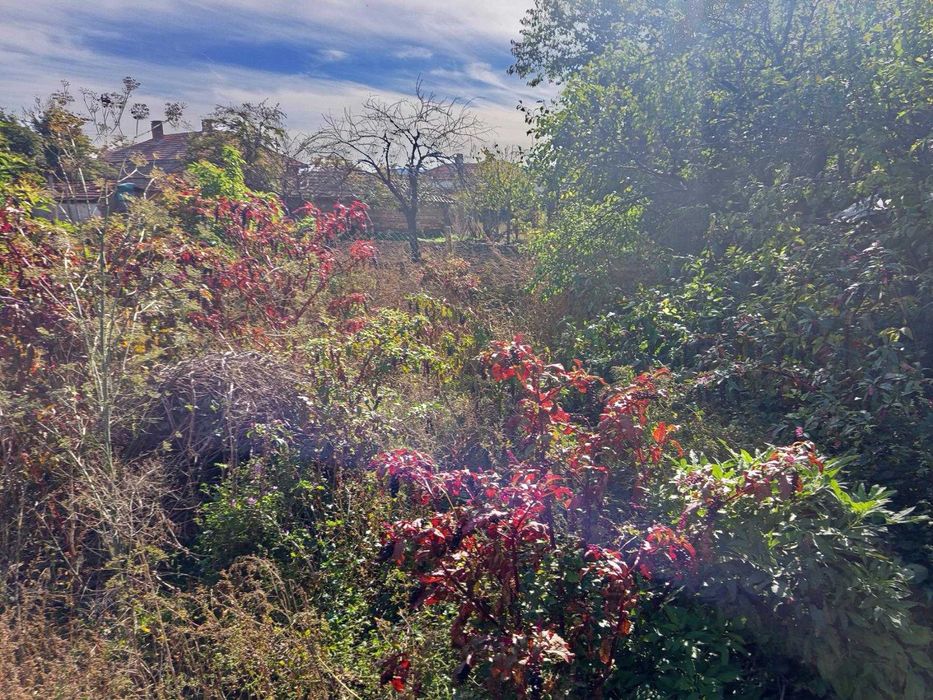 Продава се Парцел в Николаево - 560 кв.м за 11 €/кв.м - Снимка #3