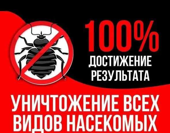 Dezinfeksiya klapa, tarakan | Дезинфекция от насекомых змей крыс мышей