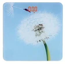 Весы, Напольные весы,