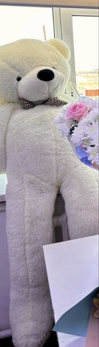 Мишка 22000тг новый