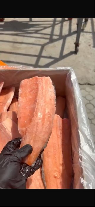 Продам свежую форель.