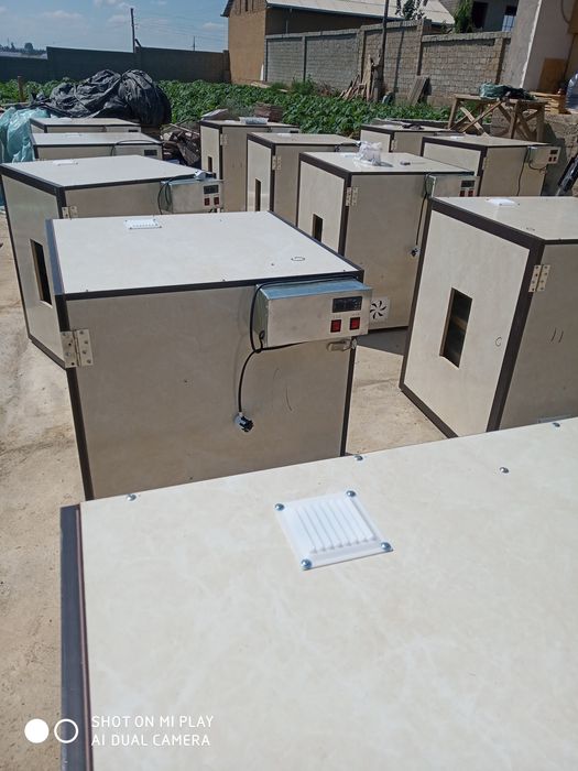 Инкубатор 100 % автомат