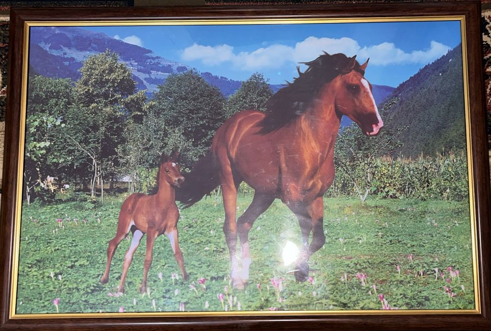 Картинка  для стена