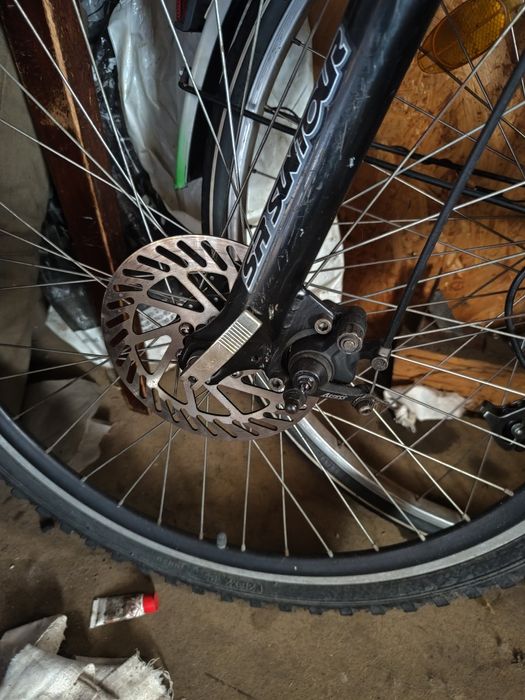 Biciclete olanda italia