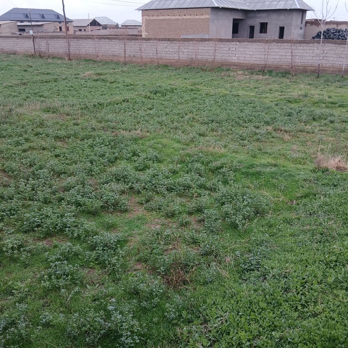 6 sotix yer sotiladi