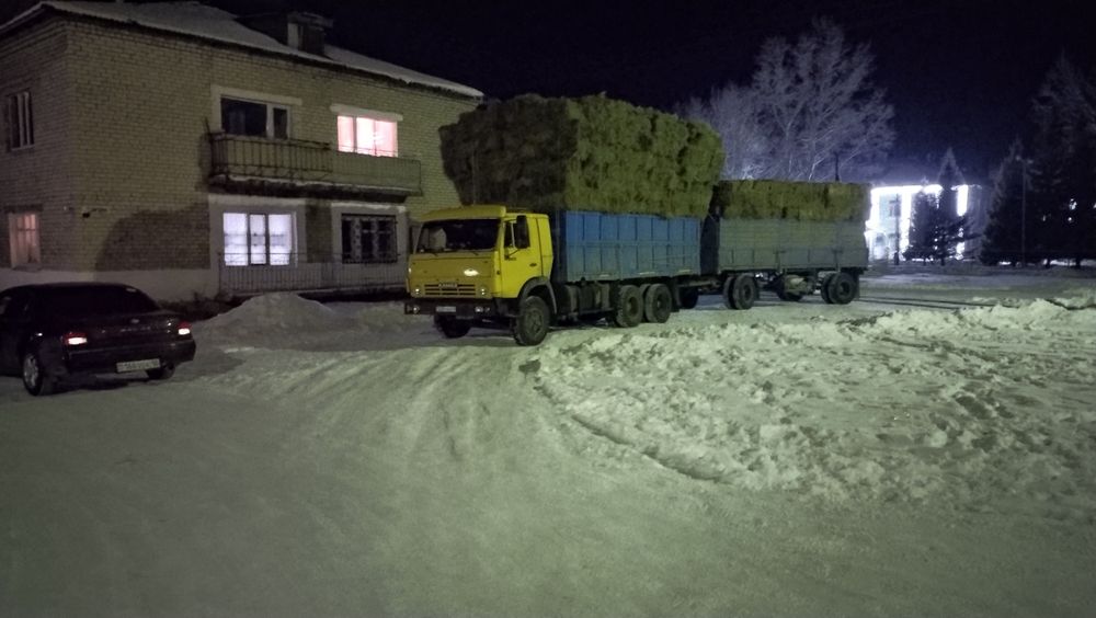 Тюковые сено Житняк Разнотравья