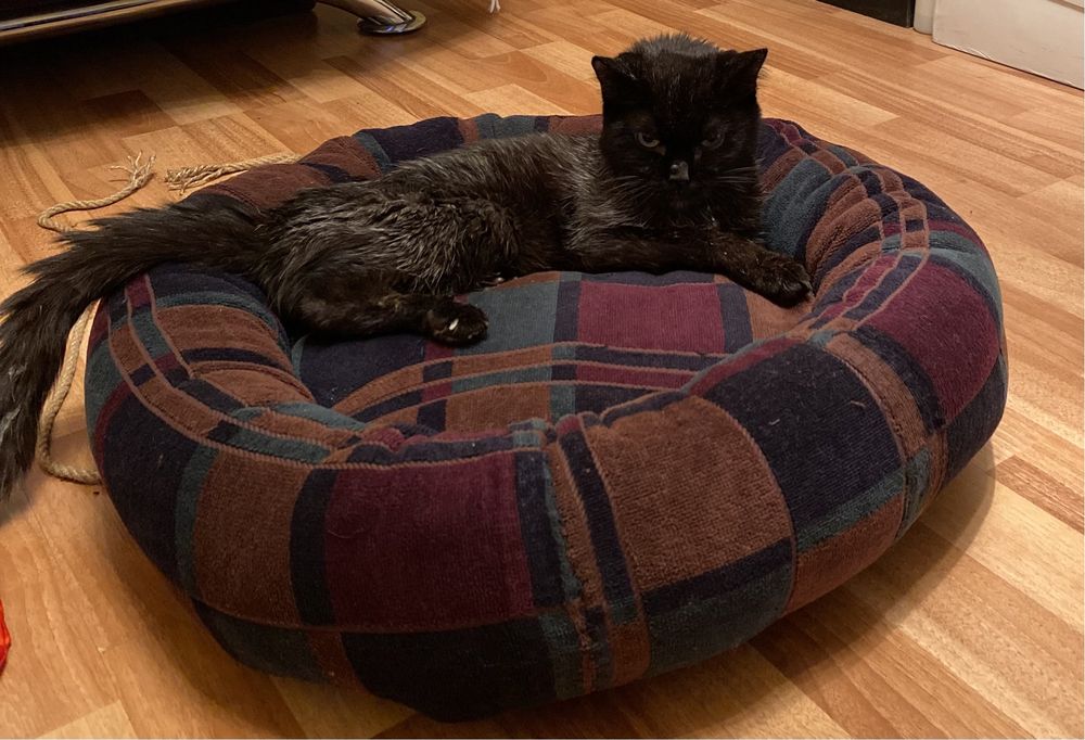 Лежанка для животных