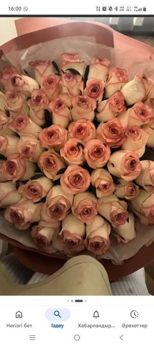 51 штук Голландскии розы