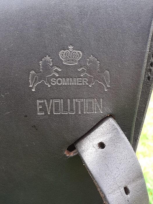 Sauă sommer evolution