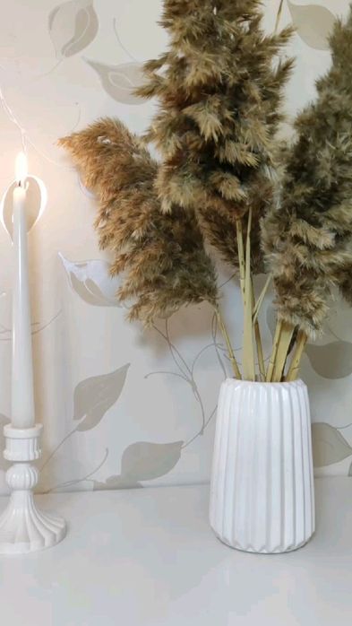 Ваза ( той бастар )