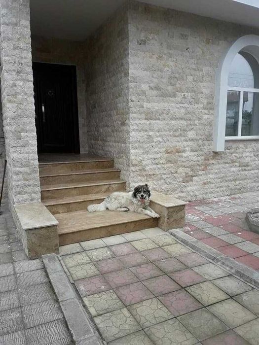 Травертин Глиц 2/10/свободна дължина - 49 лв.м2 с ддс