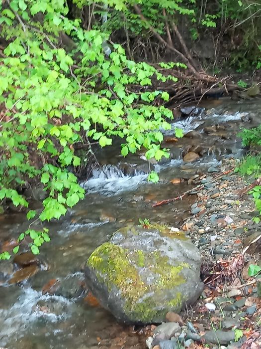 Teren-5000 mp pe drumul spre Muntele Gaina