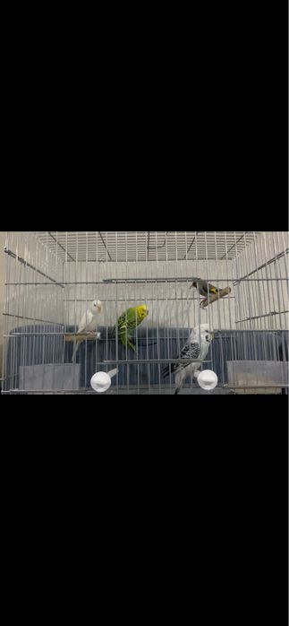 Оптом 15000 тенг