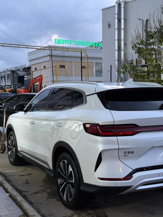 Other Song Pro DM-i Champion 2024 — 4