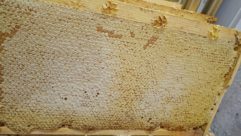 Продается натуральный мёд