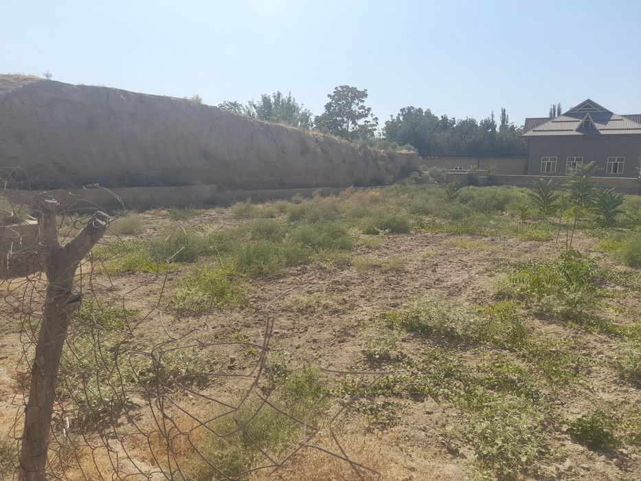 Кашкадарйо вилояти яккабог тумани ширози мфй да пустой йир сотилади